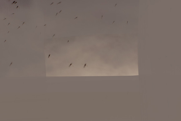 100315103-3