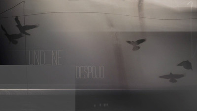 ADRIANO-7