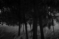 2013-09-30v2-225
