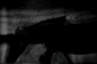 untitled shoot--18