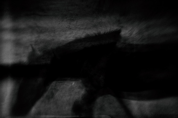 untitled shoot--18