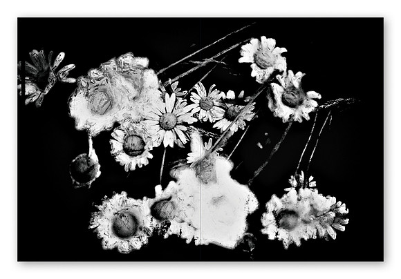 JWE-JW-RL-V210x280-PR-Spreads11_1080px