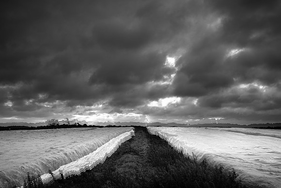 3. butley studios-8