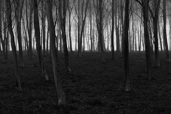 mist 6