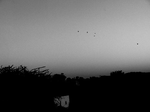 vrindavan-341