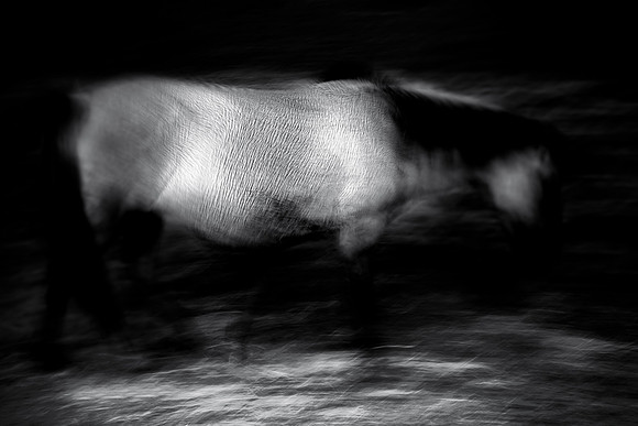05-03-09 150 v3-Edit