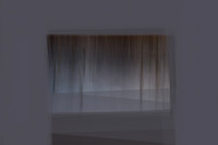 reeds 2