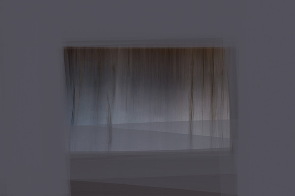 reeds 2