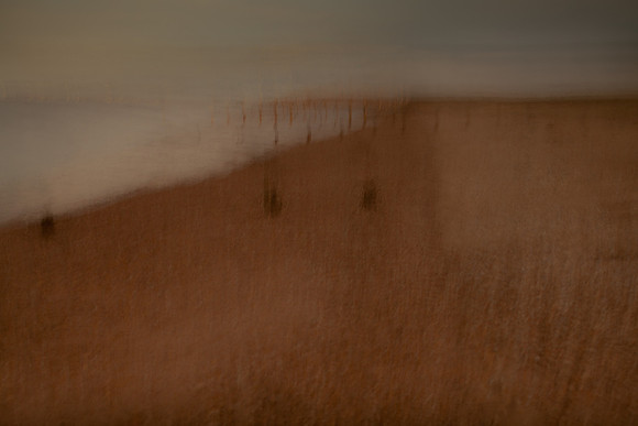 2011-12-13-519