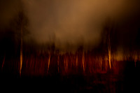 25-01-11-70