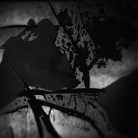 149-20