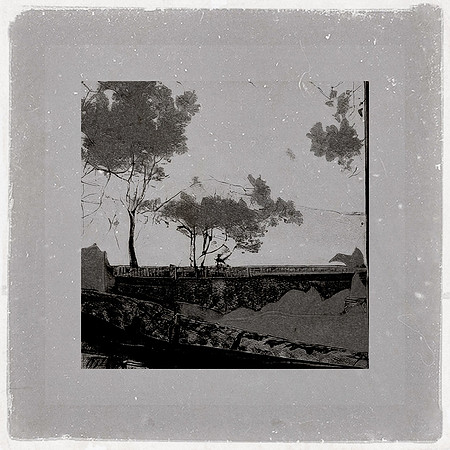 202-36