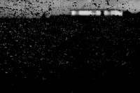 first snow #1