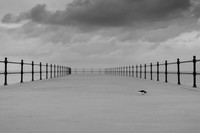 straight photography