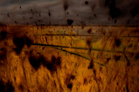 multiple exposure #2