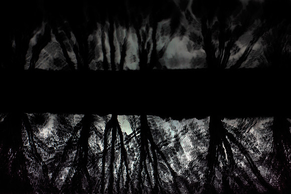 shadows #10