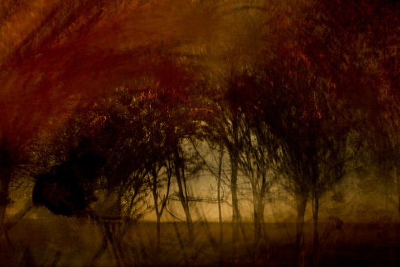 autumn #15