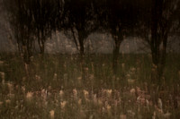 autumn #9