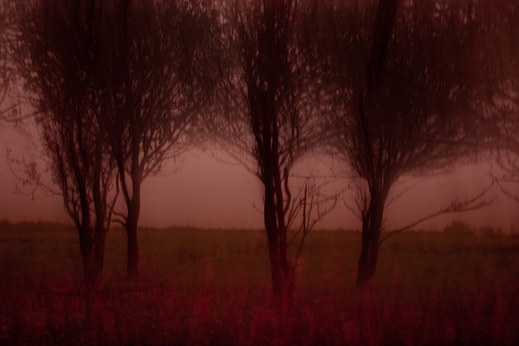 autumn #8