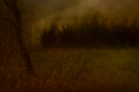autumn #6