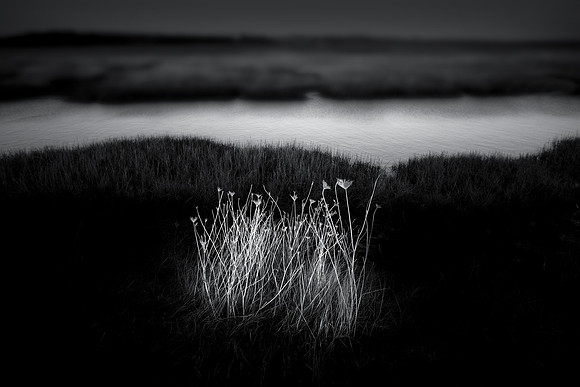 Marsh