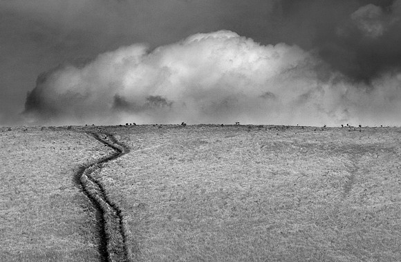 Path