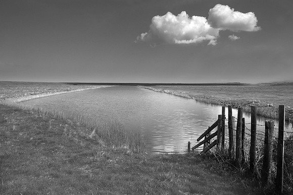 Fence