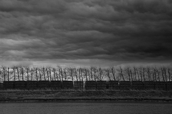 Industrial trees