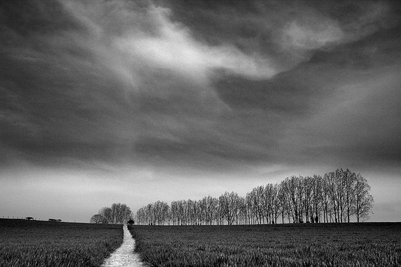 Field 2