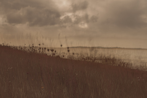 riverbank #26