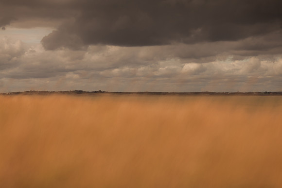 riverbank #20