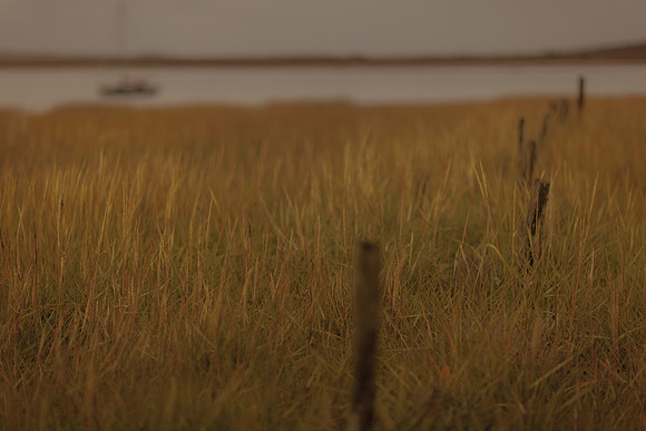 riverbank #16