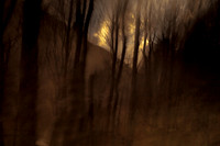 north west frontier #14