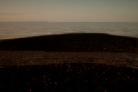 shoreline #20