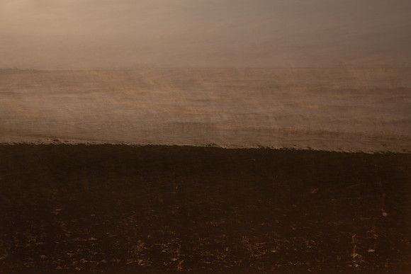 shoreline #17