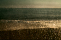 shoreline #16