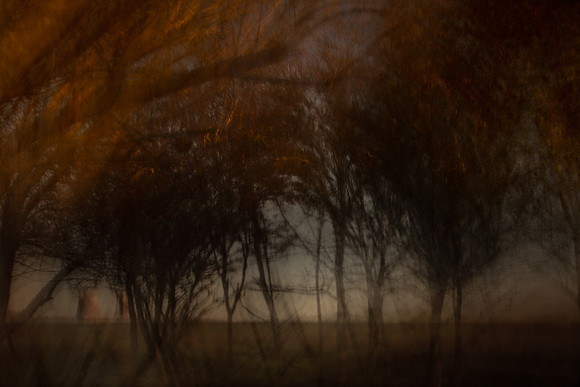 autumn #11