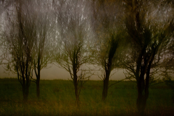 autumn #7