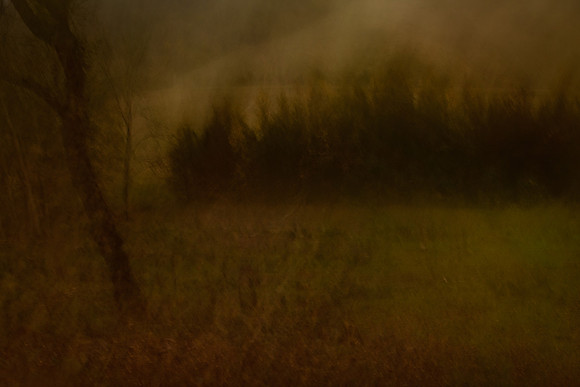 autumn #6