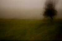 oare marshes #14
