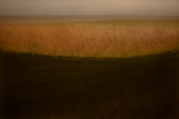oare marshes #13