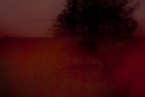 oare marshes #11