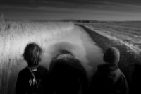 boxing day swim