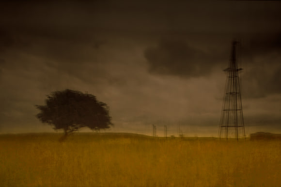 cf44 - field 10