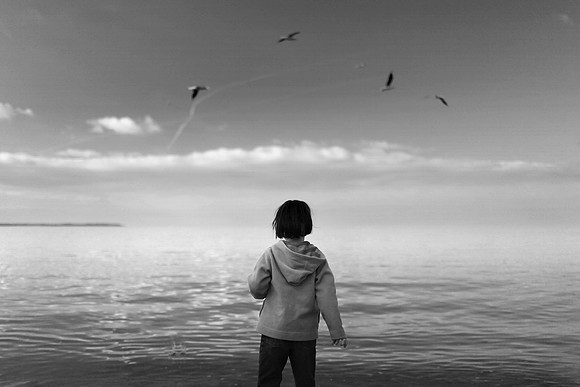 Feeding the birds 4