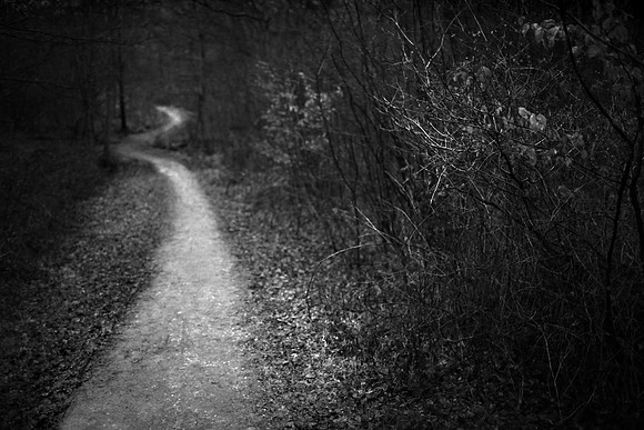 Path