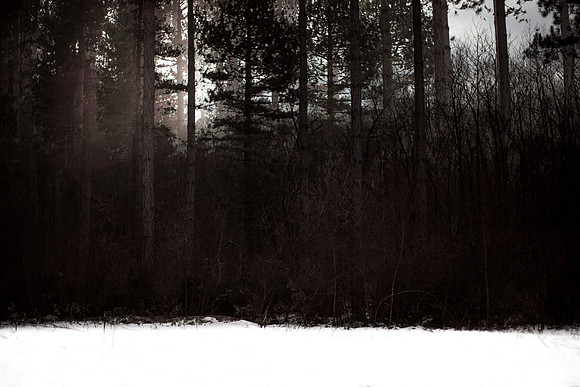 untitled-259