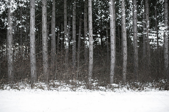 2013-01-25-19