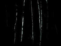 260515-85