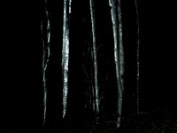 260515v2-10